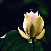 河北信雅工程项目管理有限公司