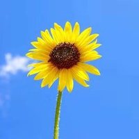 3523332047 261dd4dfef4fc9028484b5396f8f4d7