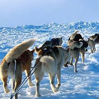 D6c2661d8708fdbbfee060ec73f1666bb3d5e70f