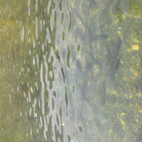 5cd353ca18cb5caf6ecc51e9883a159dc5701977