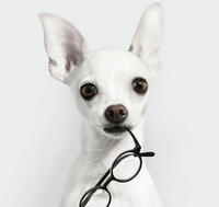 7ec5246ef12b4d5556add3f3941214856cae3cda