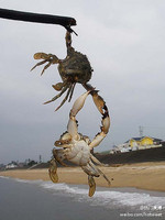 9477ec7f5e951154138a6967f319bb0ad89087f0