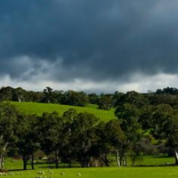 95a368c39a374e7e026a5591a8a8e7a4f0b3f913