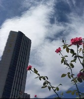 1439df8bb852b0b82656c212918be71c49af1865