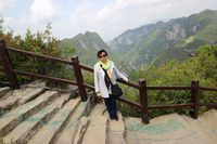 76f4c648c55a1ae33f782f56c5527da5381377ba