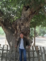 847a28e6d715014ba3f0c47b058b4346b9572178