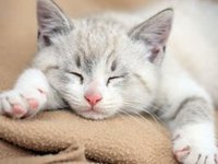 14fd3fe01ec99f1546766aa24e8bf96004dc26ee