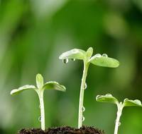 48def8e26267df53c0ff41186ae1b8285e1f17d6