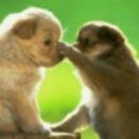 8b3117e463ca521eac1063e9020277280479e667