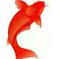 1f50e3a6a7a66739ff0c8a96a59e733508aead39