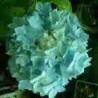 5432b0b60d95ec90cdffb3471a779b5ef3bfa6b6