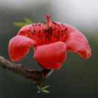 Df0c8af43a30e6a40b1c3f931ddad28b20ab1aad