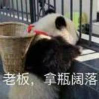 7ebf1bb9dba788e01cf72e50fb7fc8fdf8f69c89
