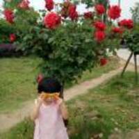 08375662754ee26ce6f06cfad8d7fccc00158e93