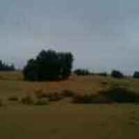 Fca2ebfdb344ab93b543c3e514dcf2f9b57fefc8