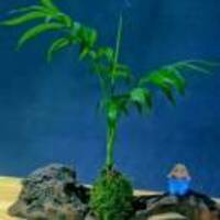 9a218e16c41c25e7bc773b7cc5b2648a25fcdb03