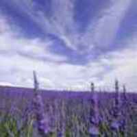 6b419871e3a0fdf266aaec08bb0ebe558009ef46
