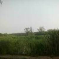 3c6cf193af424d16aa83220218b877db0a428972