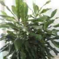 3d9fd80faad7ba0837075eb593886e95b50084f5