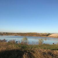 A6aa338a8835676745bee18df017df620095f34f