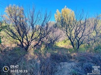 18698385ee020bcd97834dad7a582340964e0574