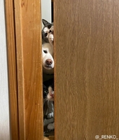 193aa33816253c37b58e87e31b5add44d3dcdef4