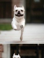 637028d0ed59fef5f17f9daf55518ff58221674c