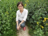 5a73b3a556527cffb9a115465e3c8e26ee8dbd4e