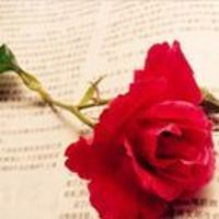 631a08969f995055c534958b094ec474786bde4f