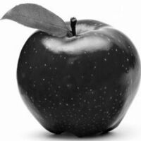 12fccdc8d5ff610e740d389573baa52f87a2204d