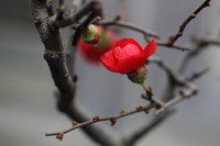 A117761a3a48947a5d1441cfff2f84b88e2db6bb