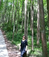 B1288de91a1ceff7e531e65cfcb011a0d761bc9c