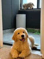 4614e6c4d792264b1e2dd9fcca5659ab374e428d