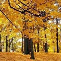 713cac64f3c8ecd2fcebbf2758de90f85f526c0d