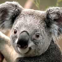 E8a3f32b8e3dfad18f617b33f8801180fe4a28a8