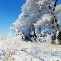 E101c9fa938429704335d6ca1d237394b1d033a9