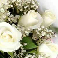 F49ded71a8286a1bb9896c939d517b990a9e648b