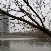 8cc92661294ae79ce05e64e11d53b6f630917dc0