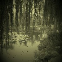 21e8121b39eb48cad00474e0977844b526a77cbf