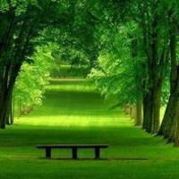 D1160d03e6facb49c7aa9d9d57ac6351e5d98a9a