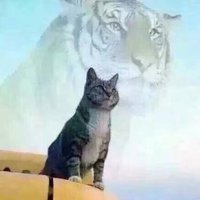 Fdfbf1000f6461f7ff9dd9dbfdb9158d9f6af065