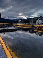 8b21d9c7671f93e1cdca609104ff878d286085ec