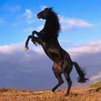 Cdffc11bab6c50f3c8cb167cb6231691e96b1674
