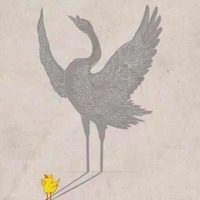 2bde0c246f2026e2113bcea8d25a4236fb90afba