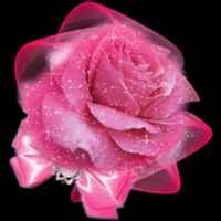 1e39c0c072727b6c7dab64d7cbb03b40c8231afb