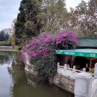 Ff2bf4918f2ad1bfe9edbc8dbb76f74f54478b94