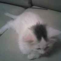 F0dad4d05906577d743c46dea4682dc2488fbd9f