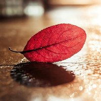 F2696e09a33448170e6e7f3399e1181d41c3e5b3