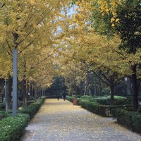 Eaebcde9e156deab55afa4fa79b9b1672b9e2b20