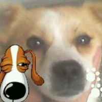 Edc9b40c9411a6cad05fed6816d225f27ace795c